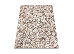 Itea 1.18x1.70 (42003/102) | mycarpet.com.ua