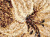 Gold 0.60x1.10 (365/12) o | mycarpet.com.ua
