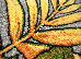 Kolibri 1.60x2.30 (11510/190) | mycarpet.com.ua