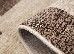 Daffi 0.60x1.10 (13025/120) | mycarpet.com.ua