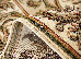 Lotos 2.50x3.50 (15005/110) | mycarpet.com.ua