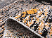 Kolibri 1.33x1.90 (11146/186) | mycarpet.com.ua