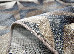Daffi 0.60x1.10 (13038/116) | mycarpet.com.ua