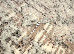 Sonata 0.80x1.50 (22041/162) | mycarpet.com.ua