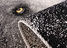 Kolibri 2.00x3.00 (11365/190) | mycarpet.com.ua