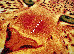 Kolibri 0.50x0.80 (11123/120) | mycarpet.com.ua