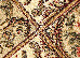 Lotos 2.00x3.00 (15005/110) | mycarpet.com.ua