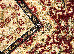 Lotos (runner) 1.00 (1518/120) | mycarpet.com.ua