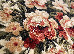 Lotos 2.50x3.50 (535/210) | mycarpet.com.ua
