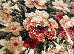 Lotos 2.00x3.00 (535/210) | mycarpet.com.ua