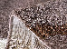 Fantasy 1.60x2.30 (12620/98) | mycarpet.com.ua