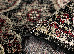 Beluchi 6 (HEREKE) 1.60х2.30 (61720/3636) | mycarpet.com.ua