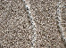 OKSI 1.60x2.30 (38010/212) | mycarpet.com.ua