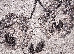 Fayno 0.80x1.80 (7107/110) | mycarpet.com.ua