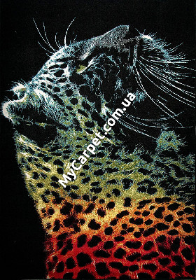 Kolibri 0.80x1.50 (11016/180) | mycarpet.com.ua
