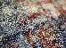 Stefany 1.20x1.70 (27206/124) | mycarpet.com.ua