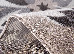Fayno 1.60x2.30 (7104/206) | mycarpet.com.ua