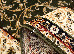 Lotos 2.00x4.00 (523/310) | mycarpet.com.ua