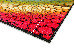 Kolibri 2.00x3.00 (11056/120) | mycarpet.com.ua