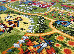 Kolibri 1.60x2.30 (11287/120) | mycarpet.com.ua