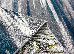 Kolibri 1.60x2.30 (11010/294) | mycarpet.com.ua