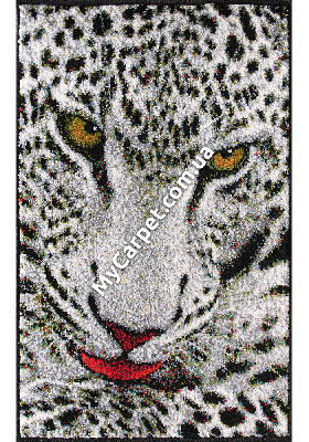 Kolibri 2.00x3.00 (11122/190) | mycarpet.com.ua