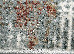 Lily 1.90x3.00 (30112/164) Stock | mycarpet.com.ua