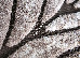 Fashion 1.60x2.30 (32044/120) | mycarpet.com.ua