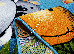 Kolibri 0.80x1.50 (11058/180) | mycarpet.com.ua