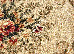 Lotos 2.50x3.50 (535/106) | mycarpet.com.ua