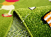 Kolibri 3.00x4.00 (11057/130) | mycarpet.com.ua
