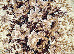 Gold 1.80x2.50 (235/12) | mycarpet.com.ua