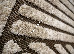 Fashion 2.00x3.00 (32001/110) | mycarpet.com.ua