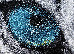 Kolibri 1.20x1.70 (11183/190) | mycarpet.com.ua