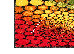 Kolibri 2.40x3.40 (11056/120) | mycarpet.com.ua