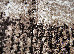 Mira 1.60x2.30 (24007/120) | mycarpet.com.ua