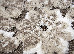 Fashion 0.80x1.50 (32003/120) o | mycarpet.com.ua
