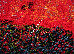 Kolibri 1.20x1.70 (11398/120) | mycarpet.com.ua
