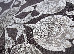 Ghali 1.50х2.30 (5044/83813b-d.brown) | mycarpet.com.ua