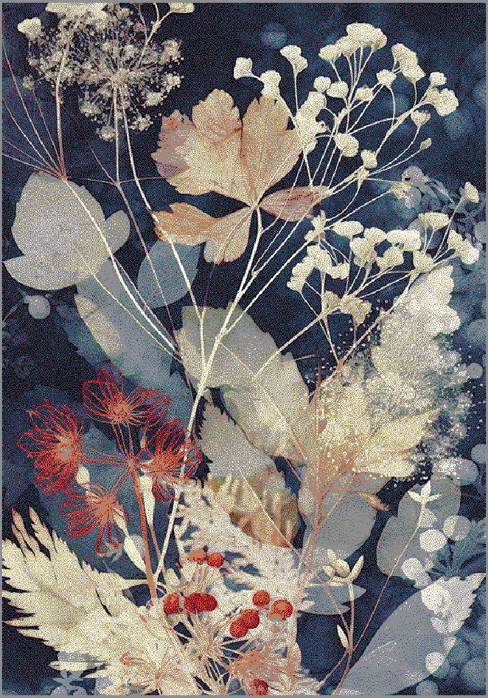 Kolibri 1.60x2.30 (11655/842)